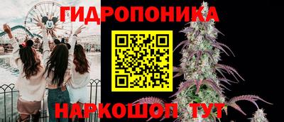 гидра Можайск